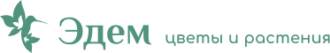 Эдем
